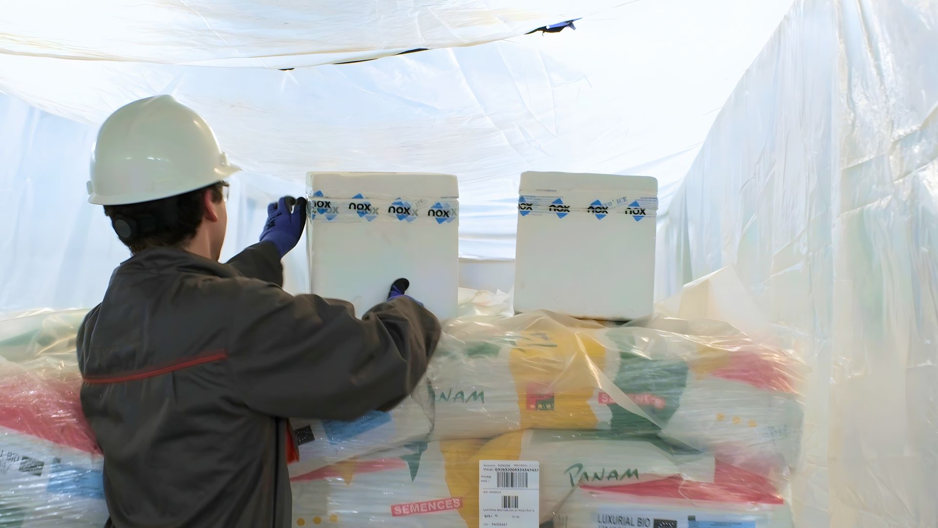 Tecnico Nox inietta CO₂ in mega bag ermetico con liner per stoccaggio di sementi Tecnico Nox inietta CO₂ in mega bag ermetico con liner per stoccaggio di sementi