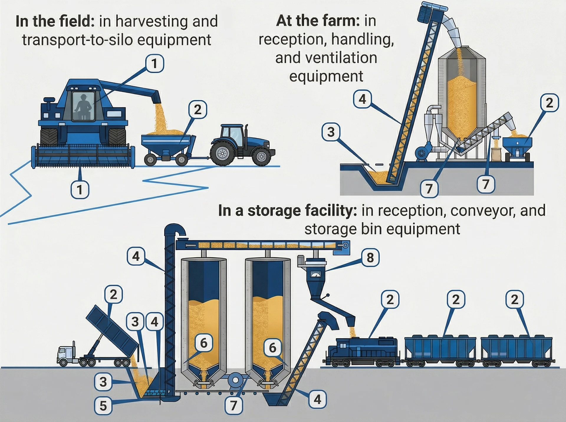 "Where do insects get to before infesting grain in silos? They don't come from the field. They are present in permanent colonies in grain storage and processing facilities, on storage sites that escape cleaning." Grain handling flow from reception to conveyors, bin equipment and silo storage facility showing potential insect entry points