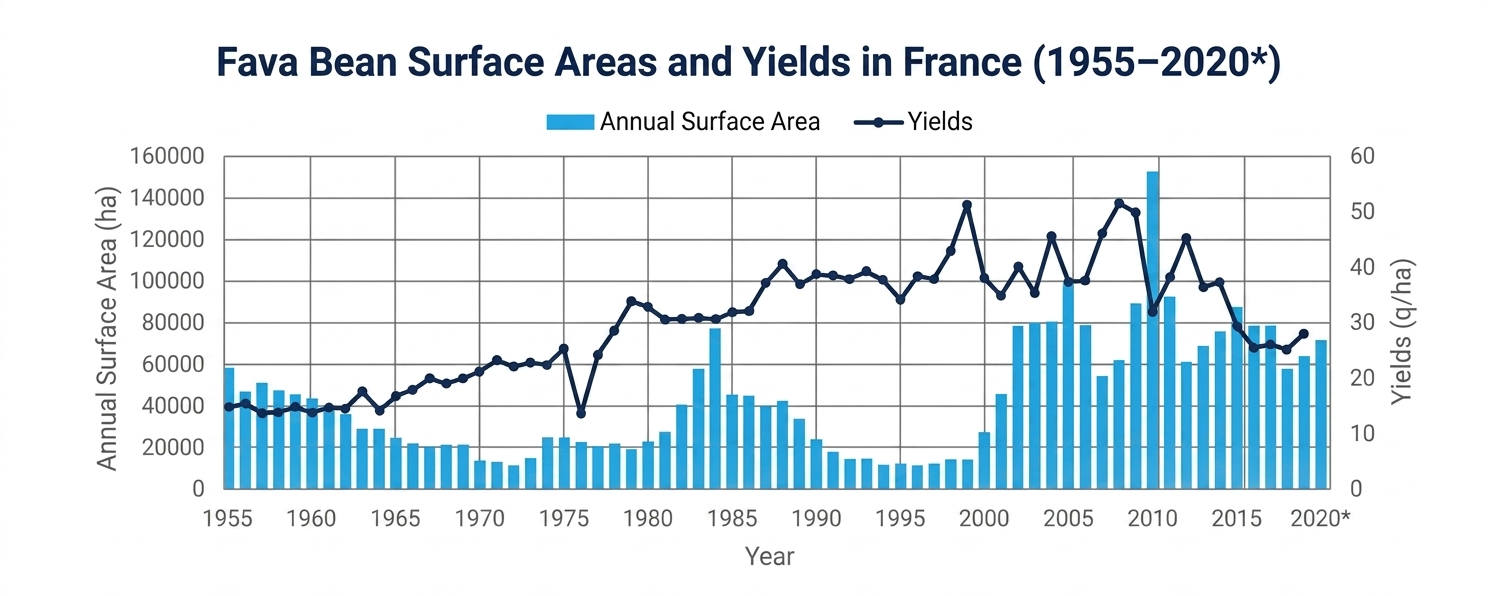 Chart of fava bean surface area and yield in France from 1955 to 2020, showing annual hectares and q/ha trends Chart of fava bean surface area and yield in France from 1955 to 2020, showing annual hectares and q/ha trends